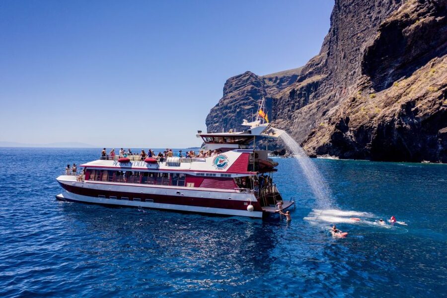 Adeje: Whale and Dolphin Watching Cruise with Lunch and Swim - How the timing works on board, safety briefing, viewing stops, then swim and lunch