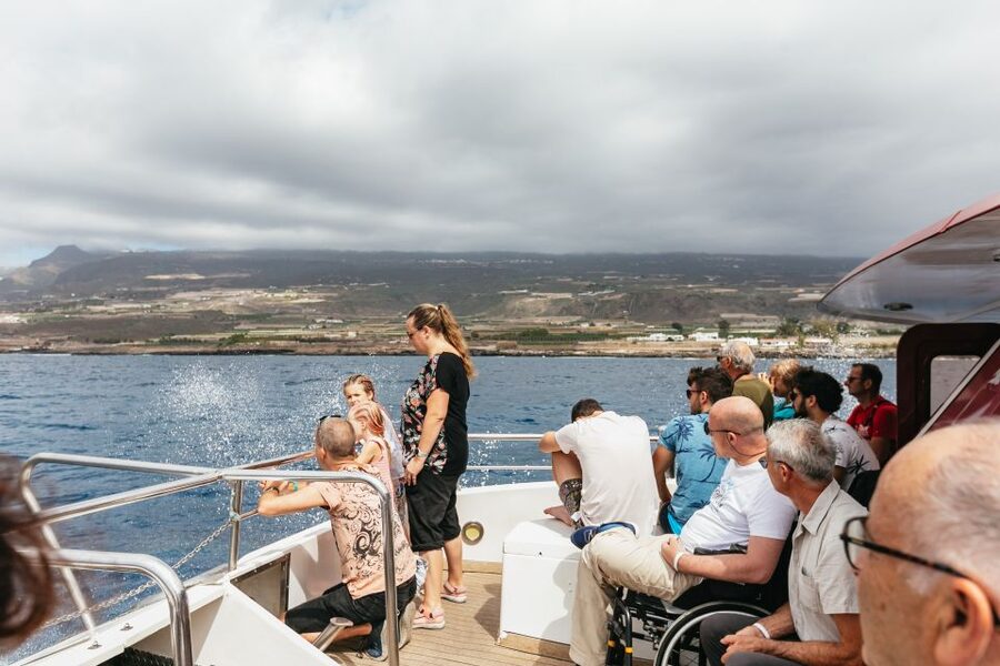Adeje: Whale and Dolphin Watching Cruise with Lunch and Swim - Swim stop reality check, crystal water plus food that keeps you on track