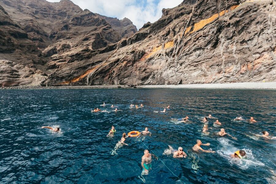 Adeje: Whale and Dolphin Watching Cruise with Lunch and Swim - Value for $59, lunch and drinks plus the underwater experience