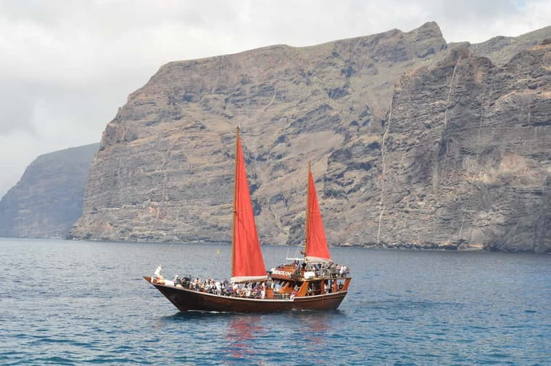 Adeje: Whale Watching Tour to Los Gigantes with lunch & swim - Quick takeaways before you book