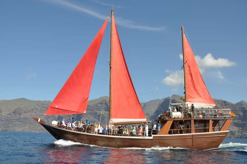 Adeje: Whale Watching Tour to Los Gigantes with lunch & swim - The 5-hour plan, stop by stop
