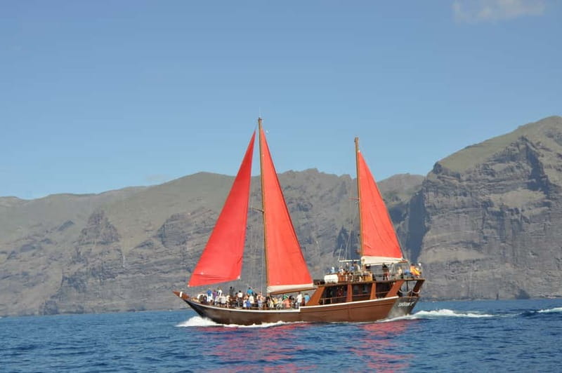 Adeje: Whale Watching Tour to Los Gigantes with lunch & swim - What to watch for: dolphins, pilot whales, and extra marine life