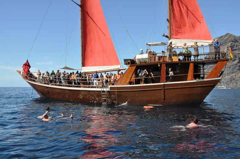 Adeje: Whale Watching Tour to Los Gigantes with lunch & swim - Swimming under Los Gigantes: plan it like a pro