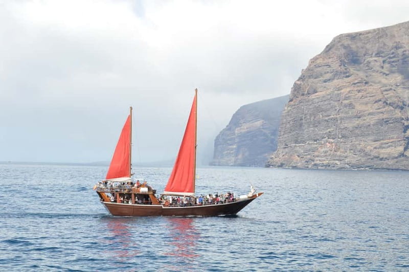 Adeje: Whale Watching Tour to Los Gigantes with lunch & swim - Price and value: is $63 fair for this kind of day?