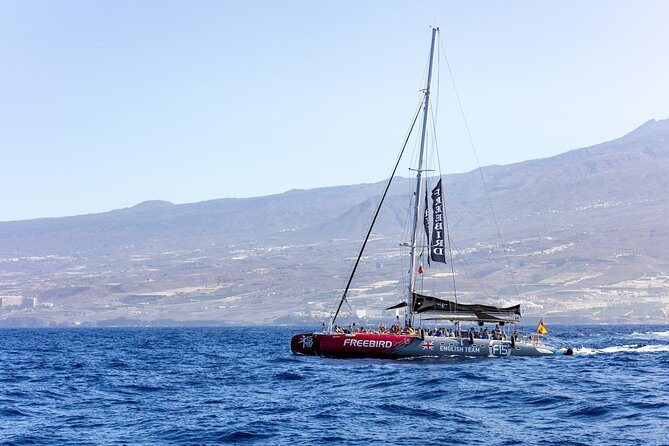 Adults Only Tenerife Freebird Whale Dolphin Catamaran with Lunch - Why this Tenerife Freebird catamaran feels calmer than most cruises