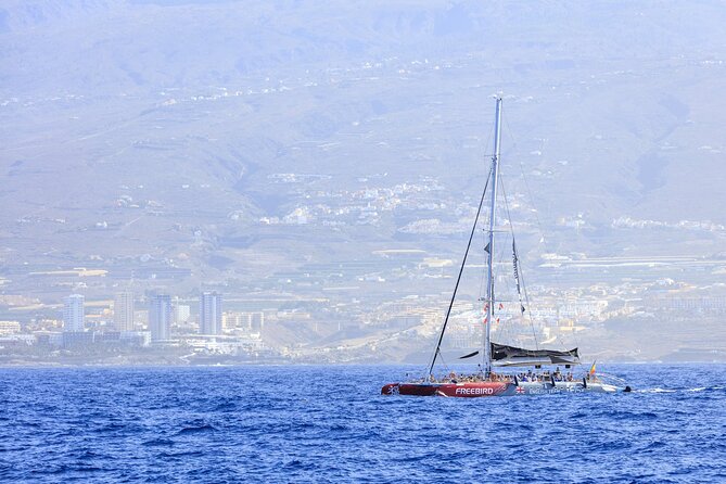 Adults Only Tenerife Freebird Whale Dolphin Catamaran with Lunch - Swim stop, snorkelling gear, and how to make the water time work