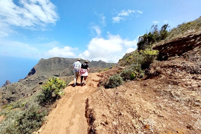 Amazing Anaga - Parque Rural de Anaga, Where the Laurel Forest Makes the Day