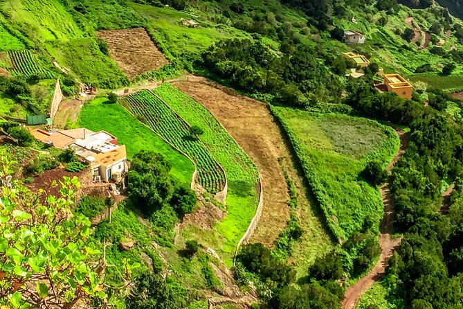 Anaga Private Tour: Valleys of Nature and Tradition - What to Bring, and How to Make the Most of the 7 to 8 Hours