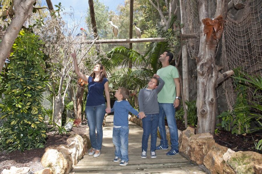 Arona: Entry Ticket to Tenerife's Jungle Park Zoo - Key Things You Should Know Before You Go