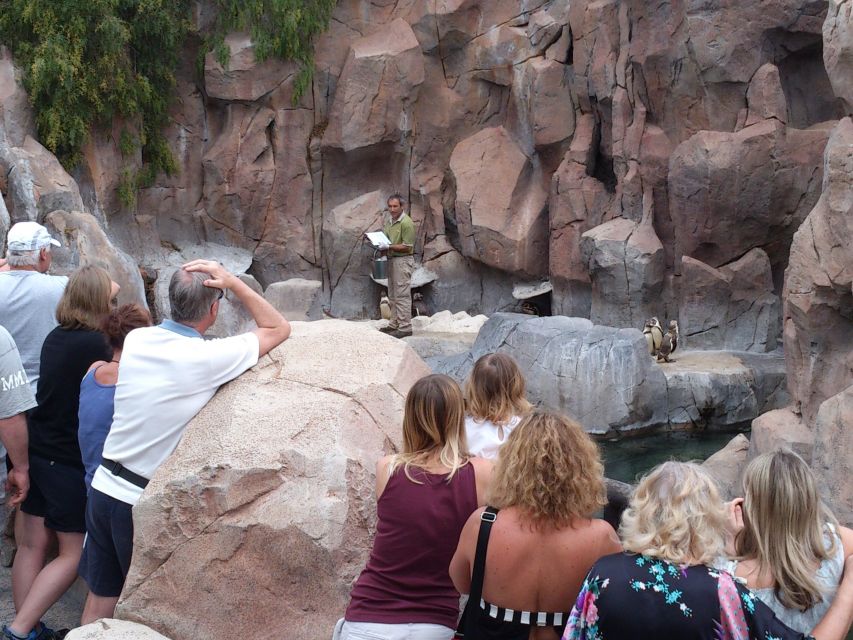 Arona: Entry Ticket to Tenerife's Jungle Park Zoo - Optional Extras: Photos, Parking, and the BOB Ride