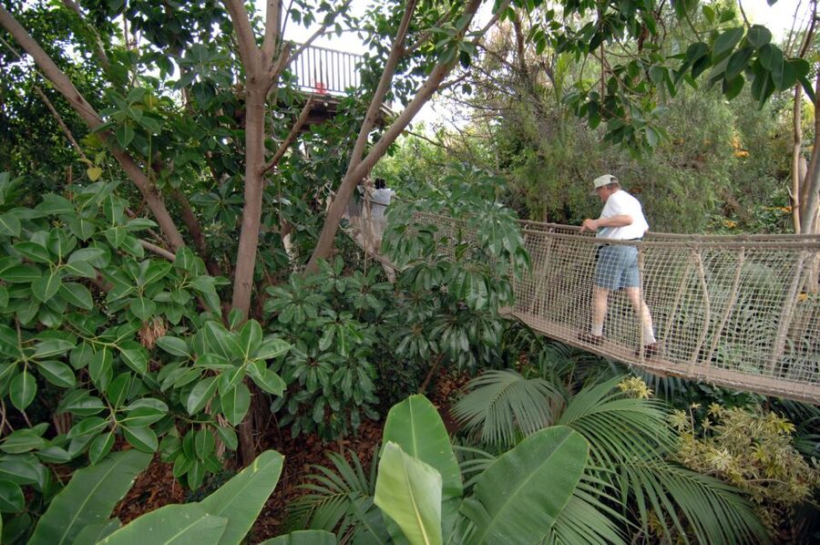 Arona: Entry Ticket to Tenerife's Jungle Park Zoo - Price and Logistics: What Your Ticket Actually Buys