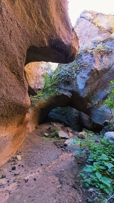 Barranquismo Tenerife: Canyoning Adventure - Key highlights you will care about