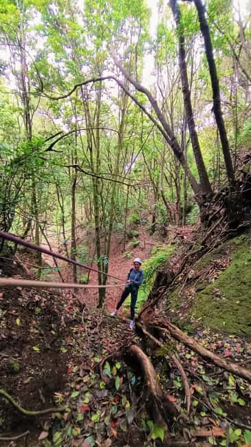 Barranquismo Tenerife: Canyoning Adventure - What the included picnic and water mean for your energy level