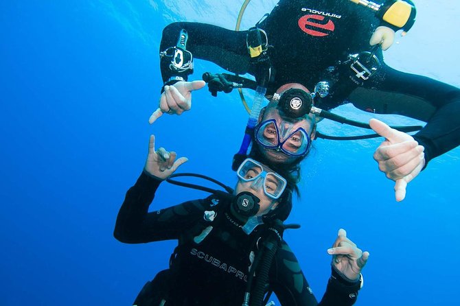 Basic Diver course for beginners with 1 dive in the Ocean - Key takeaways before you go