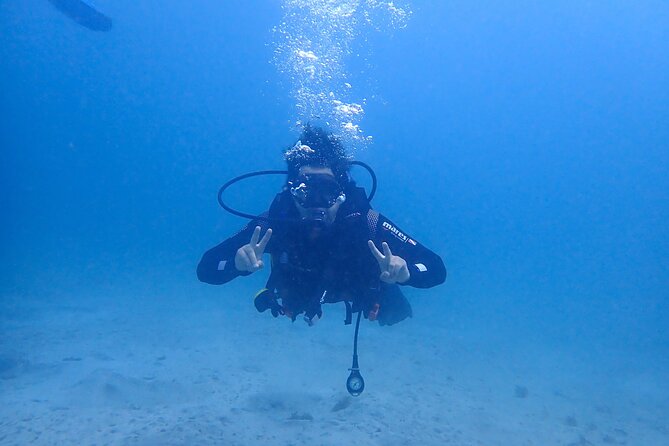 Basic Diver course for beginners with 1 dive in the Ocean - Getting to and from GooDiving without wasting your day