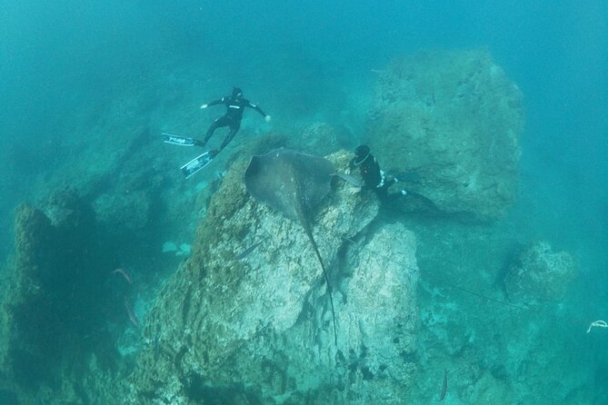 Boat Excursion to visit underwater lava tongues - Lava tongues up close: how to read the rocky seafloor