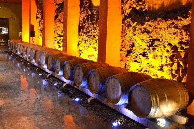 Bodegas Monje Winery Ticket w/Wine Tasting & Mojo Sauce Workshop - Eating your own work: the sit-down meal with your group