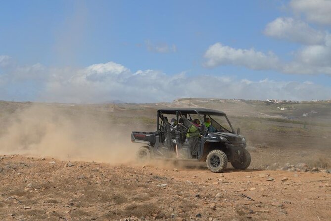Buggy or Quad Tour Volcano Teide in Teide National Park - Vehicles, Cleanliness, and Your Expectations for an ATV Day