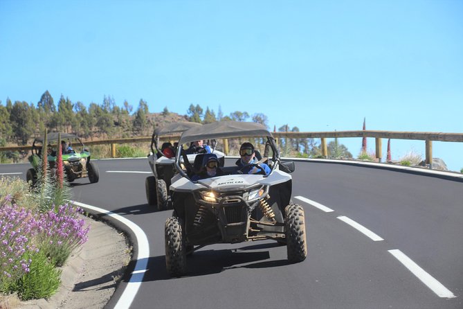 Buggy Safari Adventure 700cc - 700cc Articats on Tenerife: driving time, adrenaline, and license reality