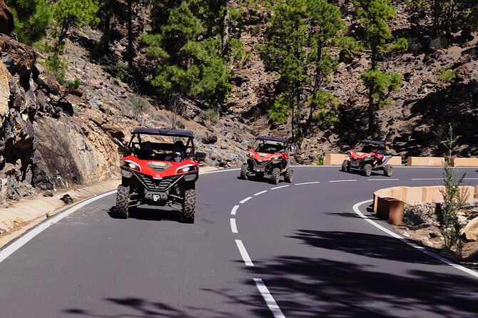 Buggy tour to Teide in Tenerife - Why this Teide buggy trip feels like a mini road trip