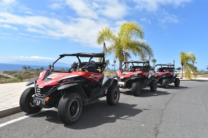 Buggy tour to Teide in Tenerife - Driving the buggy, plus the rules on licenses and noise