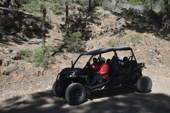 Buggy tour to Teide in Tenerife - Cold at altitude, what to wear, and how to plan for photos
