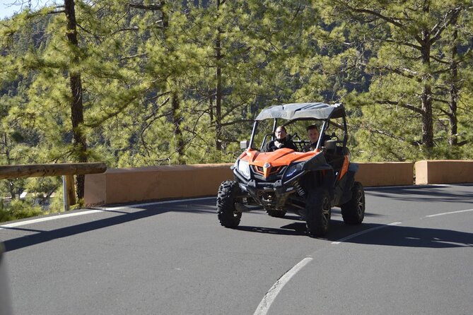 Buggy Tour Volcano Teide in Teide National - Price and value: what $243.10 per group really buys