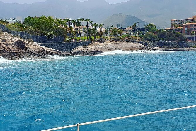 CATAMARAN OCEAN CRUISE TOUR, Food & Drinks included! - Getting to the boat: pickup, meeting point, and the smooth start