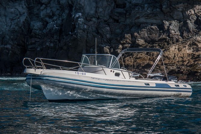 Costa Adeje | Cetacean sighting in Tenerife South - Who this Tenerife eco cruise suits best