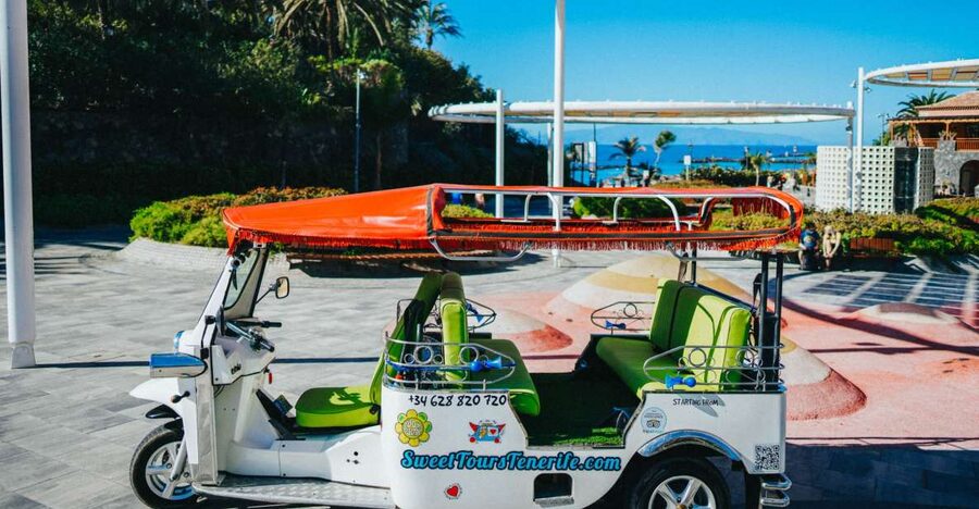 Costa Adeje: Double Tuk Tuk Tour - Should you book this tour?