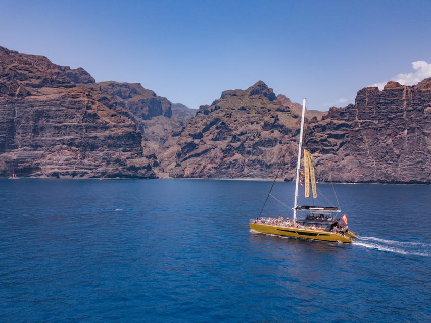 Costa Adeje: Masca and Los Gigantes Whale Watching Cruise - Key Things That Make This Cruise Worth Your Time