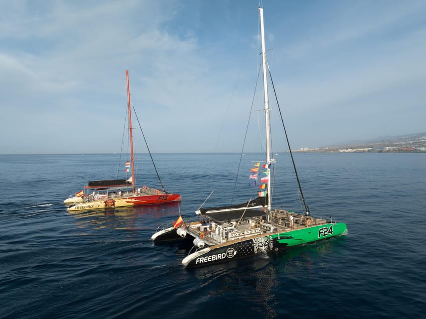 Costa Adeje: Masca and Los Gigantes Whale Watching Cruise - Why This Tenerife Catamaran Route Works for Whale Watching