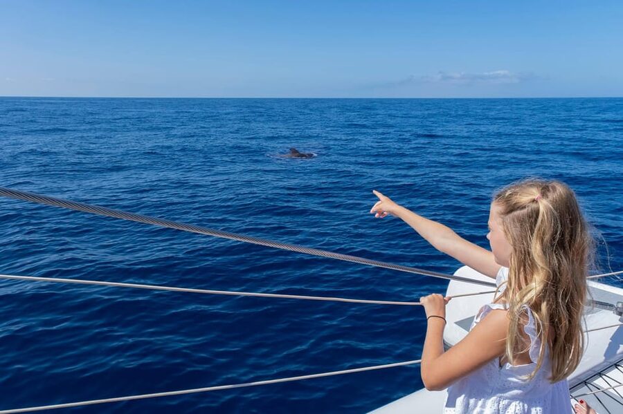 Costa Adeje: Masca and Los Gigantes Whale Watching Cruise - Los Gigantes Photo Stops and the Chance to See Dolphins First