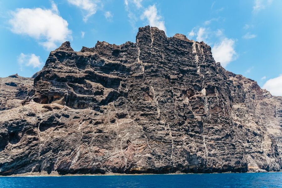 Costa Adeje: Masca and Los Gigantes Whale Watching Cruise - Species You Might See, and How to Spot Them Without Stress