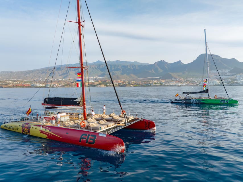 Costa Adeje: Masca and Los Gigantes Whale Watching Cruise - Cost, Inclusions, and What $71 Buys You
