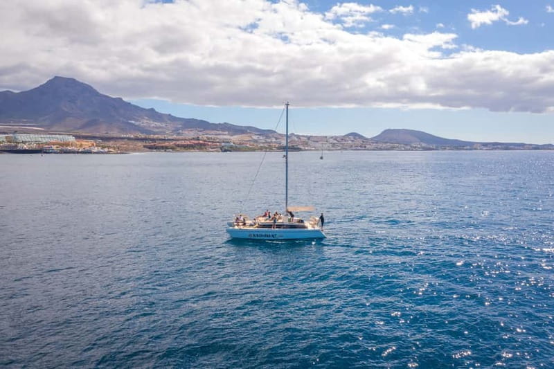 Costa Adeje: Private Catamaran Tour 22 Persons Max - Key Points You Should Know Before You Go