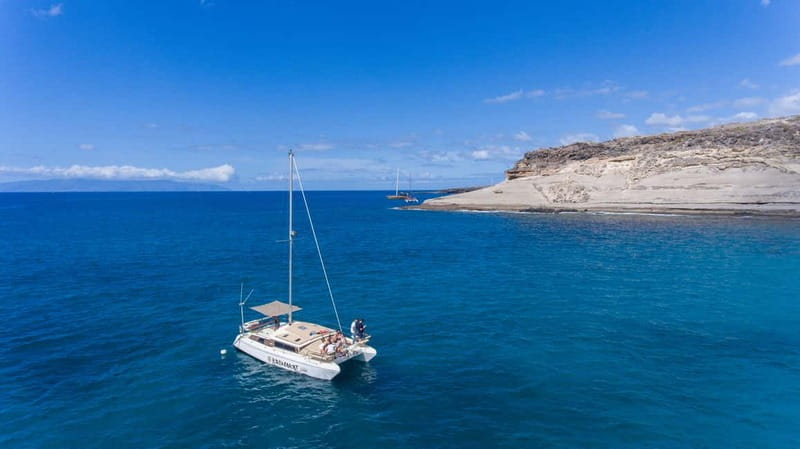 Costa Adeje: Private Catamaran Tour 22 Persons Max - Price and Value: Is $952 Worth It?