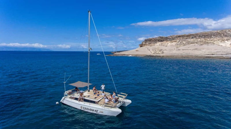 Costa Adeje: Private Catamaran Tour 22 Persons Max - What to Bring for a Smooth 3 Hours at Sea