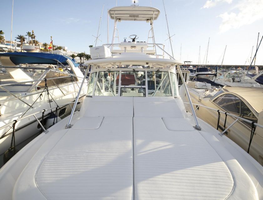 Costa Adeje: Private Yacht Sailing Tour from Puerto Colón - Swim stop and the shoreline moments you cannot get from land