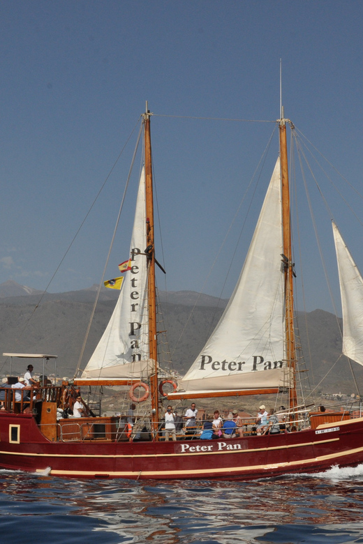 Costa Adeje: Respectful Whale-Watching Sailboat Tour & swim - Food and drinks: what’s included, what you’ll pay for