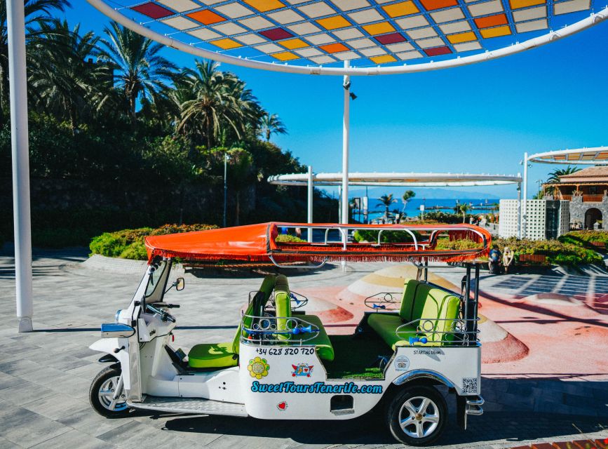 Costa Adeje: Secret Volcano Tuk Tuk Tour - Eco-Electric Tuk Tuk Ride: Sun, Breeze, and a Really Simple Way to Move