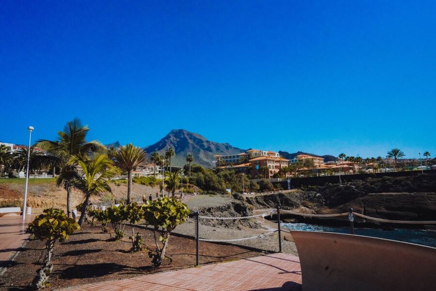 Costa Adeje: Tuk Tuk Tour - Comfort, access, and practical rules to know