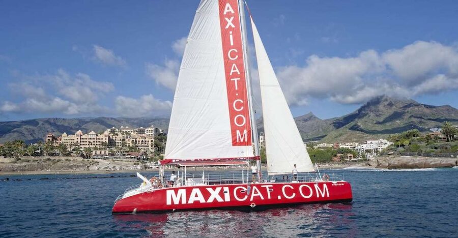 Costa Adeje: Whale and Dolphin Cruise with Food and Pickup - What the crew does first: safety briefing and how wildlife spotting works