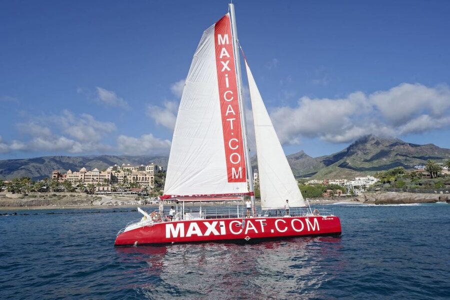 Costa Adeje: Whale and Dolphin Cruise with Food and Pickup - Getting there: pickup options and finding the Maxicat boat at Puerto Colon