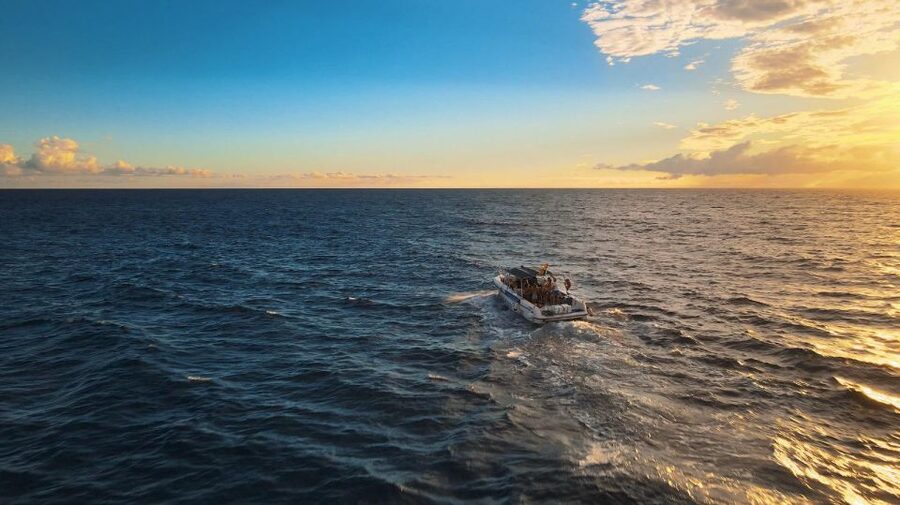 Costa Adeje: Whale and Dolphin-Watching Boat Excursion - Costa Adeje’s whale and dolphin watch is all about the small-boat feel