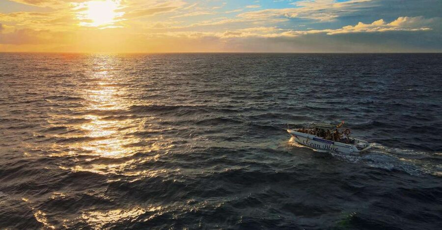 Costa Adeje: Whale and Dolphin-Watching Boat Excursion - Where you start: Lina Yacht and the Puerto Colón area