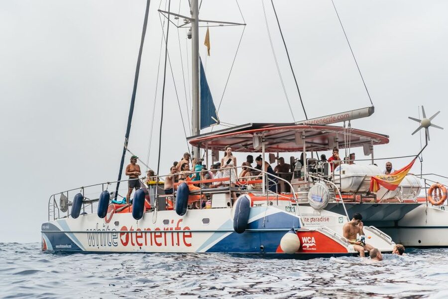 Costa Adeje: Whale & Dolphin Eco-Cruise with Snacks & Drinks - Boarding at Dock 8 Puerto Colón, Costa Adeje
