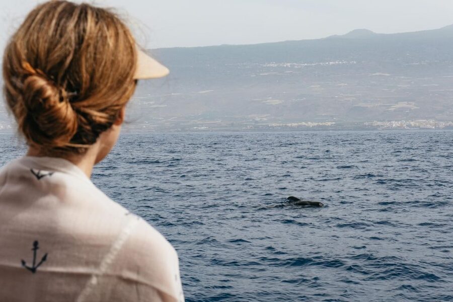 Costa Adeje: Whale & Dolphin Eco-Cruise with Snacks & Drinks - The Underwater Sound Equipment Makes the Ocean Feel Alive