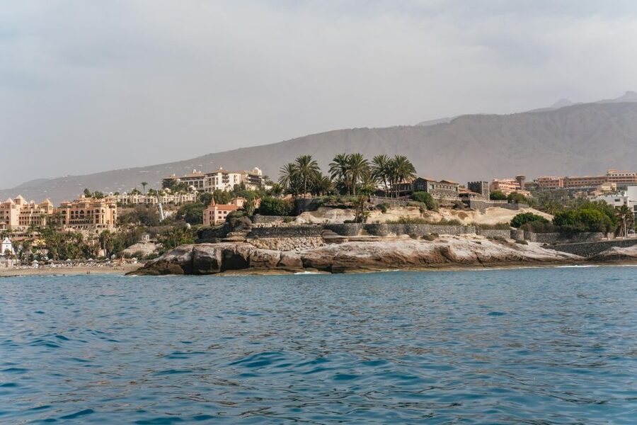 Costa Adeje: Whale & Dolphin Eco-Cruise with Snacks & Drinks - Why the Crew’s Wildlife Style Feels So Different