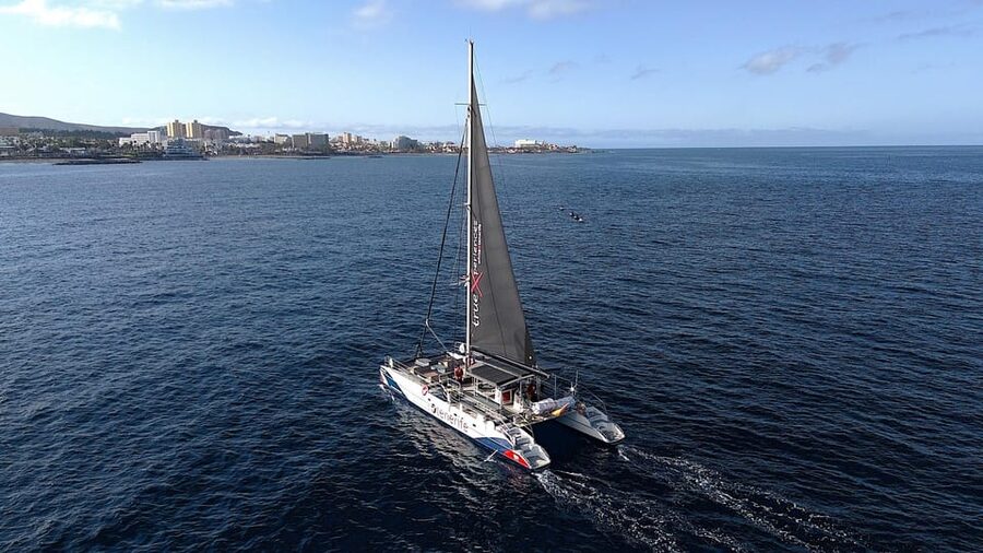 Costa Adeje: Whale & Dolphin Eco-Cruise with Snacks & Drinks - Seasickness Reality Check and What to Pack